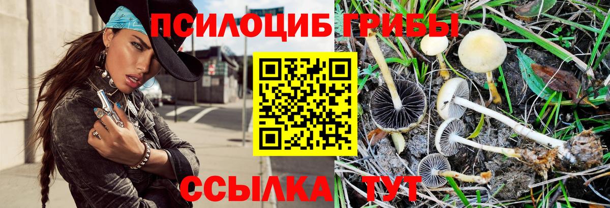 Псилоцибиновые грибы прущие грибы  Галлюциногенные грибы Psilocybe  Ногинск  Вход с VPN 